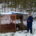 winter chickens water bowls