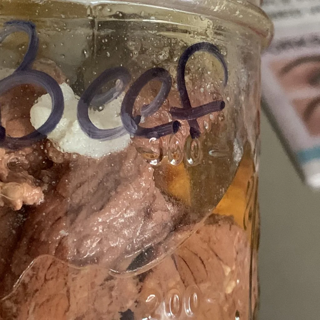 Beef hot packed pressure canned meat