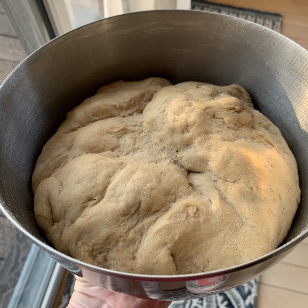 whole wheat pizza dough doubled