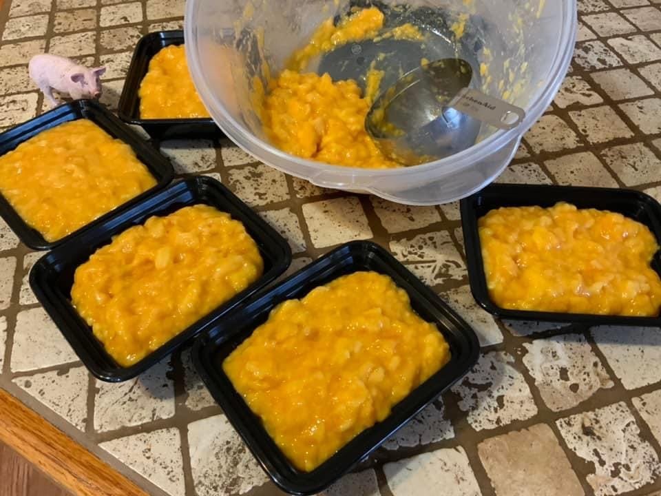 Pawpaw puree to make more cookies in the future