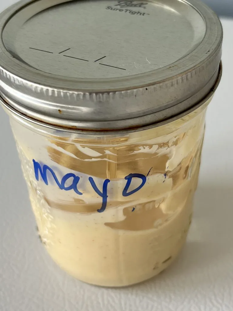 homemade avocado oil mayo